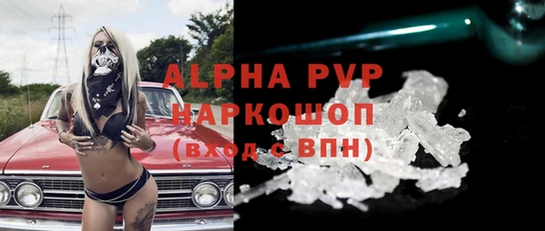 индика Арсеньев