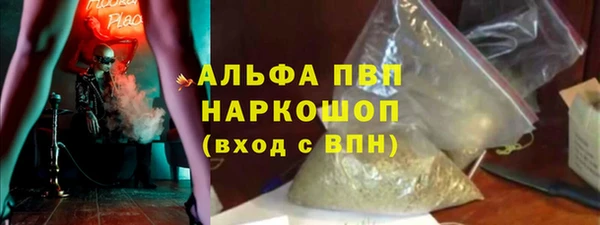 индика Арсеньев