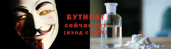 индика Арсеньев