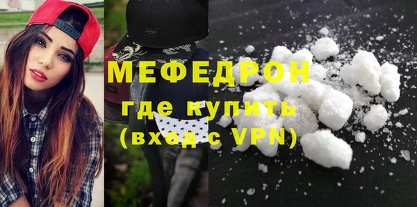 индика Арсеньев