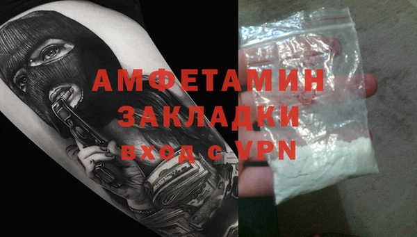 индика Арсеньев