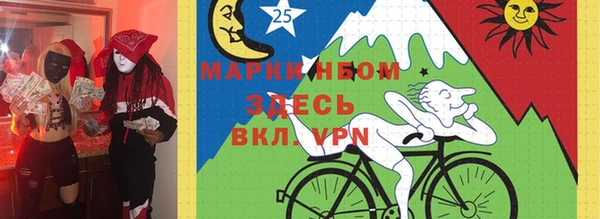 индика Арсеньев