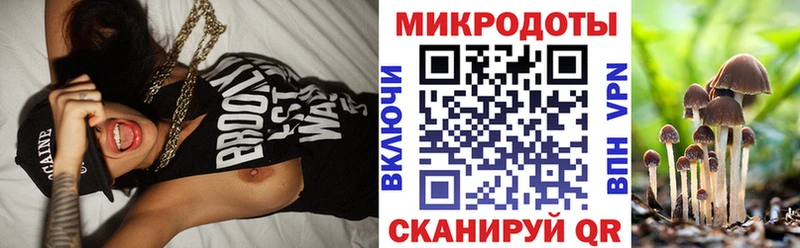 Купить где  Урус-Мартан  Галлюциногенные грибы GOLDEN TEACHER 